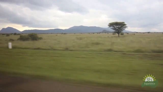 Need to Promote Reading Culture, Mentorship & Tree Planting in Kenyan Schools // Baseline Study. смотреть онлайн