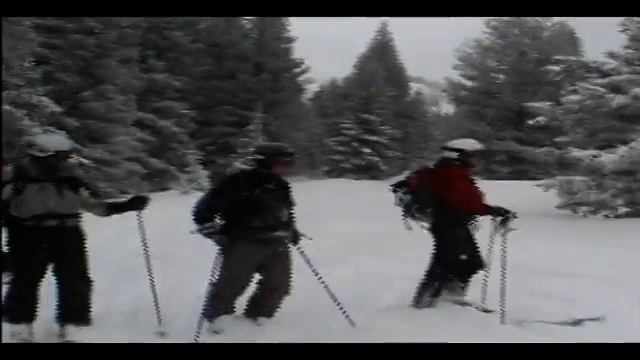 Ed Webster Steamboat Powdercats 01/2004 смотреть онлайн