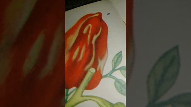 Печёный🌶болгарский🌶перец:варианты,эксперименты. смотреть онлайн