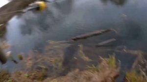 ЩУКА НА ЖИВЦА. ЛОВЛЯ ЩУКИ НА ПОПЛАВОК ПОЗДНЕЙ ОСЕНЬЮ.