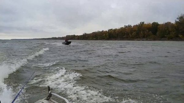 Swimmer 450 fish на волне