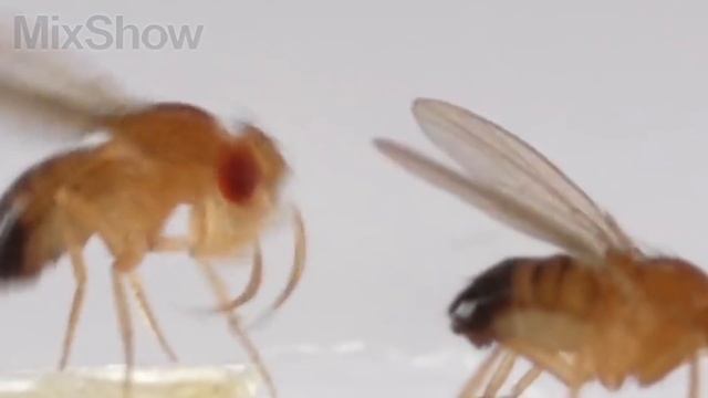 Секреты Профессионального Творца