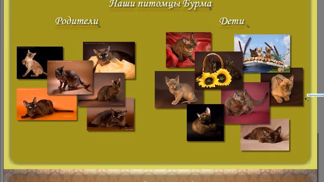 Запись экрана 09 09 2016 14 58 09 смотреть онлайн
