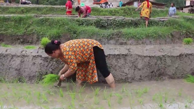 यस्ताे खतरा घाँसे गीत पहिलाे चाेटी.. || Dal Bahadur Dangol || Ghase Git || Nagbeli Music смотреть онлайн