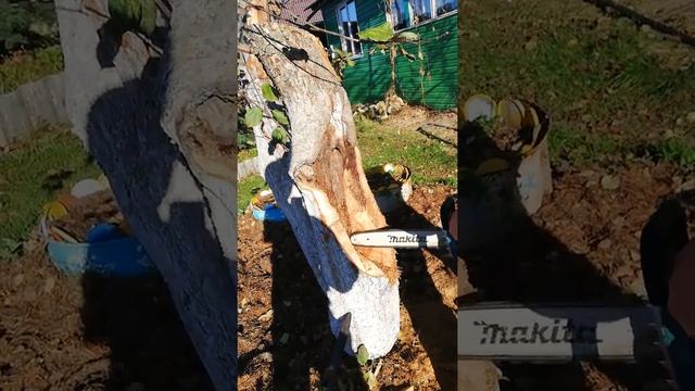 Строительные Мотивы