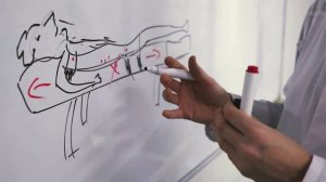 5 популярных устройств при боли в спине, 2 критерия эффективного лечения позвоночника