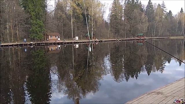 Результаты ночной рыбалки. Клёвое место, Лосиный остров. смотреть онлайн