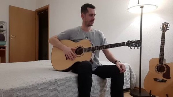 Обзор гитары Parkwood s62