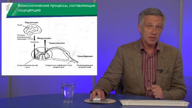 Копенкин С.С. «Мультимодальный подход при анальгезии: выбор препаратов» смотреть онлайн