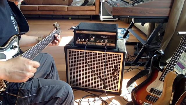 Sunny Sunday Echos with a vintage Ibanez AR-150 and Roland RE-150 смотреть онлайн