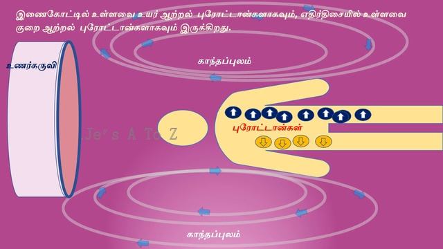 MRI ஸ்கேன் பரிசோதனை தெரிந்து கொள்வோம் - MRI Scan Procedure #scan #mriscan #health смотреть онлайн