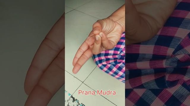 ?? Correct Way to do Prana Mudra | How to do Prana Mudra #pranamudra #mudra #shorts смотреть онлайн