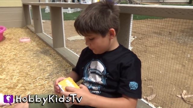 Pass The Pig Game with Our Pig + Surprise Toys смотреть онлайн