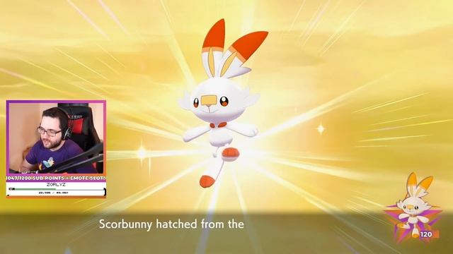 WE GOT ALL 3 SHINY STARTERS?! Shiny Scorbunny, Sobble & Grookey! смотреть онлайн