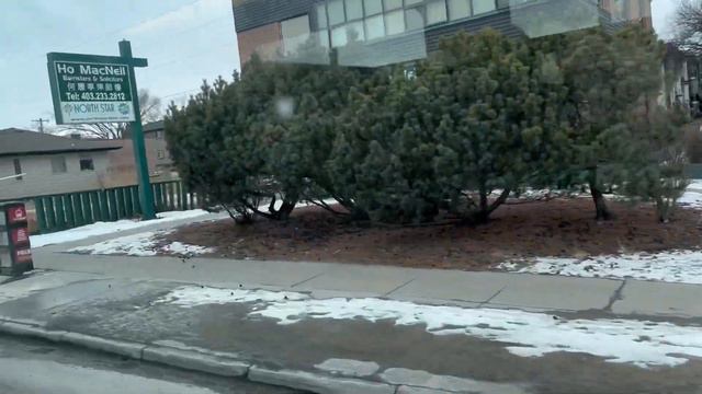 Calgary Transit 2005 New Flyer D40LF - 7917 смотреть онлайн