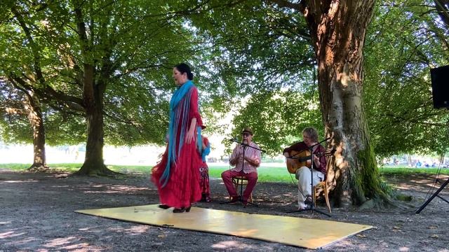 Mozaico Flamenco: Alegrias, Michelle Harding смотреть онлайн
