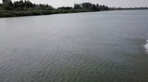 Вельбот 430