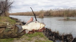 Рыбалка В Дагестане Широкольский Канал