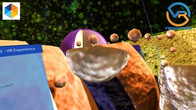 Lifeliqe VR Museum - The education finally did the next step смотреть онлайн