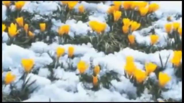 Язлар котем смотреть онлайн