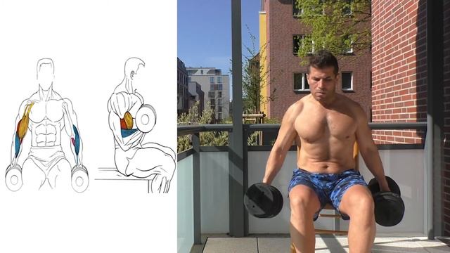 Лучшие Упражнения на бицепс с гантелями, 3 упражнения | Хамид Шариф смотреть онлайн