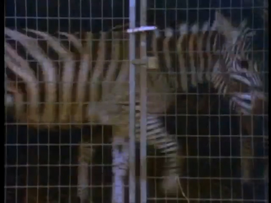 Из моей личной коллекции № 40 смотреть онлайн