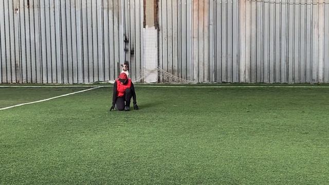 Как научить собаку командам Дрессировка собаки Танцы с собакой Терра. Элементы № 2. 06.03.2023 г. смотреть онлайн