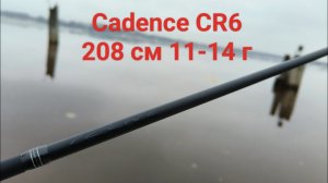 Cadence CR6-6101B-MLF одночастник обзор