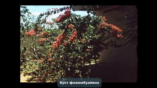Африканские достопримечательности