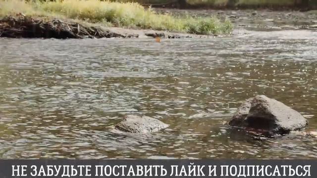 Уяснила про мужа, и решила сделать...Истории из жизни. Аудиорассказ смотреть онлайн