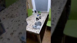 Холодное осахаривание пшеница,рожь,ячмень.