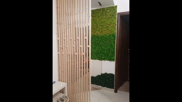 Licheni in apartament смотреть онлайн