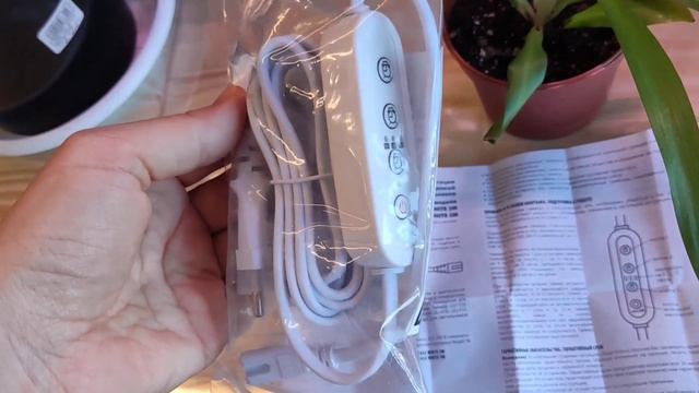 Ни дня без новых растений. Орхидея вянет?. О таймере для фитоламп. Фикус и блеск. Бегония? и рео? смотреть онлайн