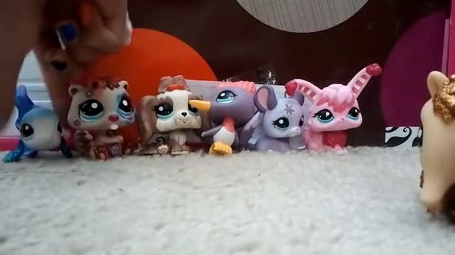 My Littlest Pet Shop tour!! смотреть онлайн