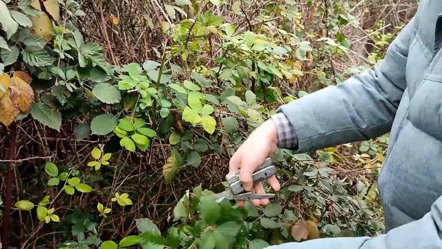 Честный обзор ROXON S 802 PHANTOM. Лучший* мультитул  из моей коллекции.