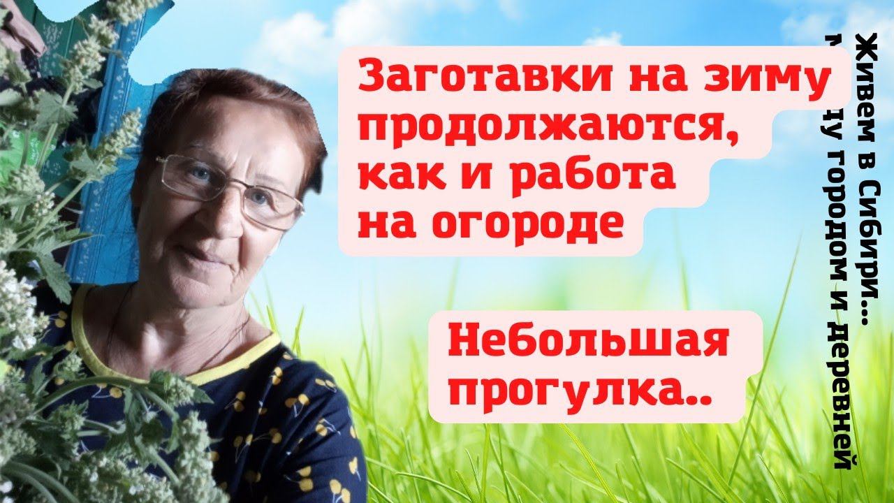 13.07.2022 Заготовки на зиму и работа на огороде продолжаются. Небольшая прогулка