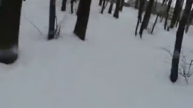 Тренировка 21.01.2011 г. смотреть онлайн