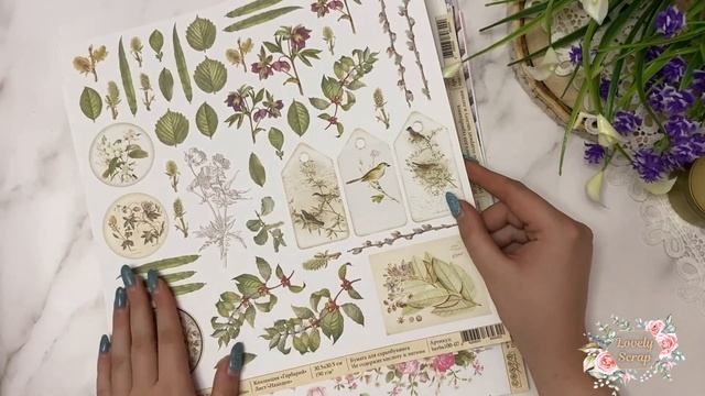 Обзор дизайнерской посылки для Ксении Кокшаровой смотреть онлайн