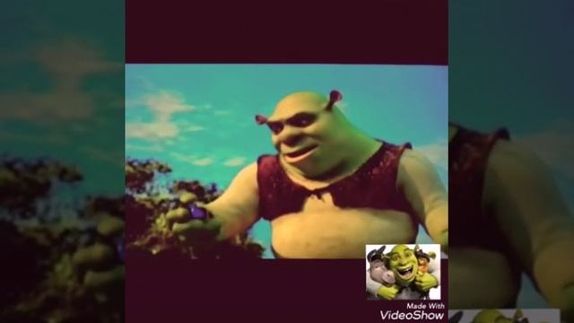 Аварский мультик смотреть онлайн