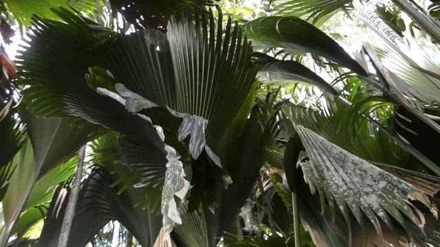 Готовим по-домашнему: Уютные вечера ❤