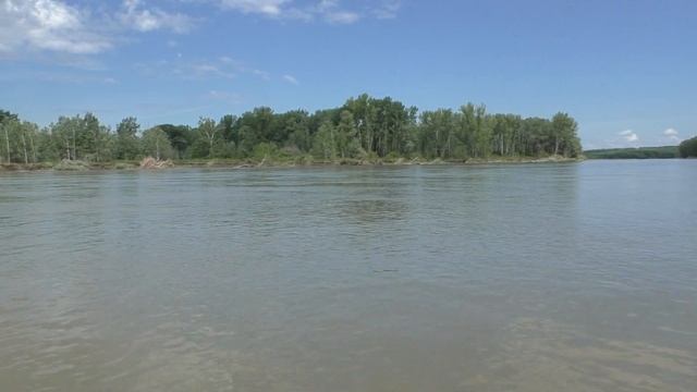 Не ожидал,что эта рыба такой хищник! Рыбалка на Оби. смотреть онлайн