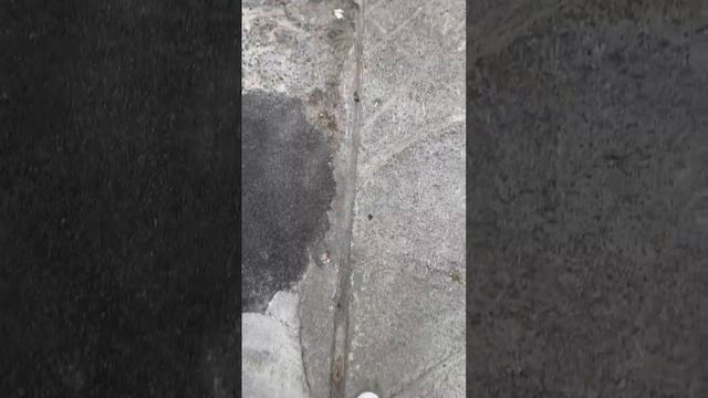 Кипр, деревня Омодос