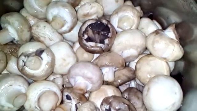 Маринуем шампиньоны.Проверенный рецепт. смотреть онлайн