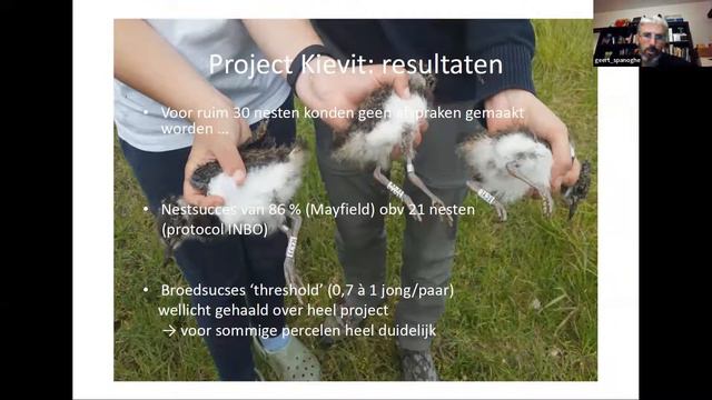 Nestbeschermingsproject Kievit regio Gent - Werkgroep Weide- en Akkervogels Natuurpunt смотреть онлайн