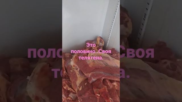 Мясо Телятина Откорм бычков смотреть онлайн
