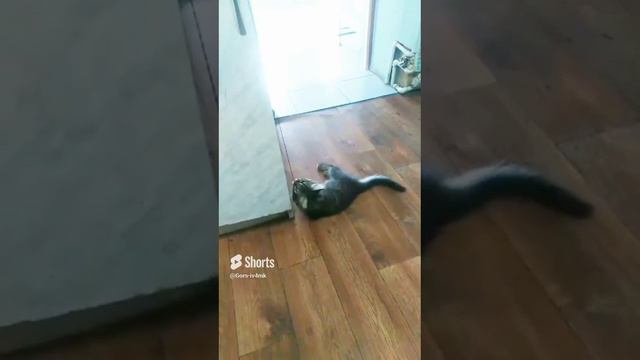 13 августа 2024 г. (1).mp4