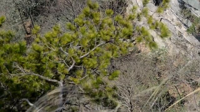 Смотровая площадка Shentang Bay в национальном парке Zhangjiajie смотреть онлайн