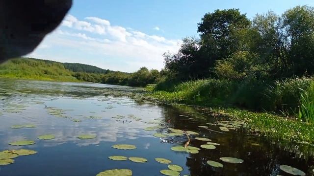 КАК СЛОВИТЬ ЛИНЯ. ЛИНЬ НА БУТЫЛКИ. рыбалка на линя в беларуси. смотреть онлайн