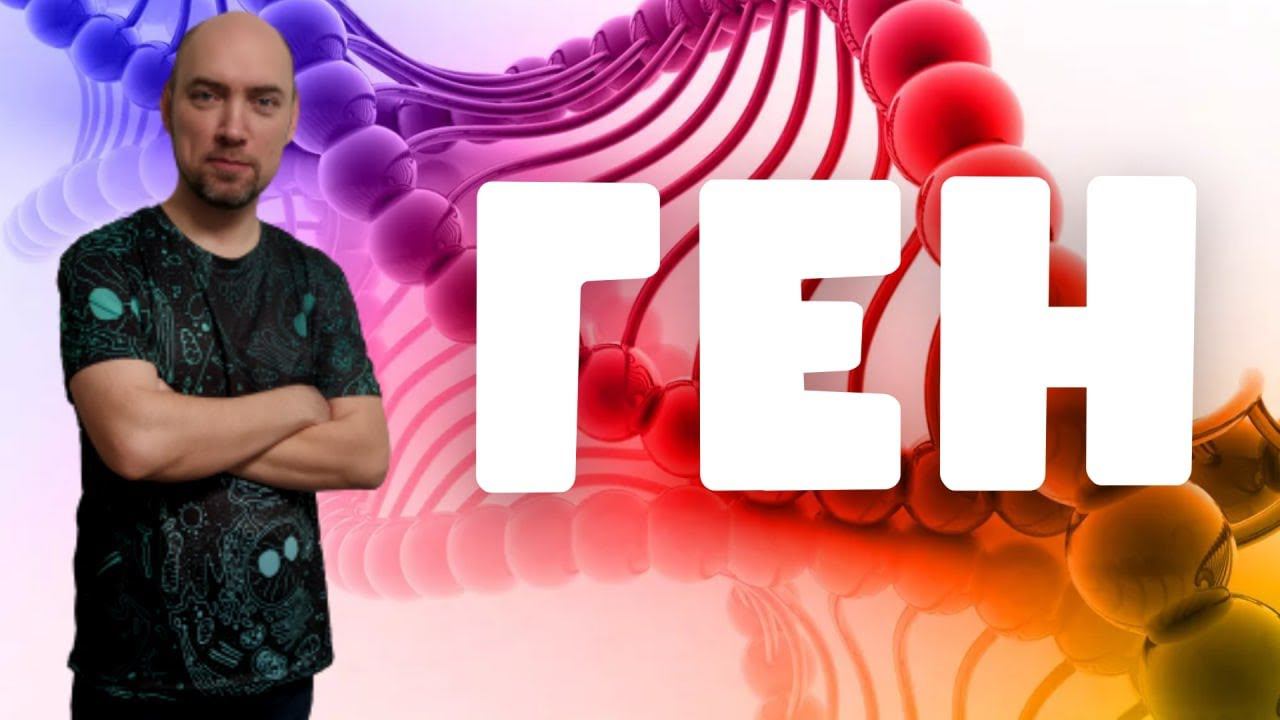 Что такое ген? Душкин объяснит смотреть онлайн
