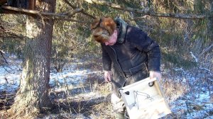 Новая модель ящичной ловушки.